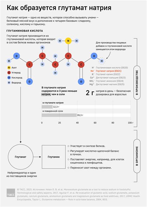 Роль глутамат соднý в организме