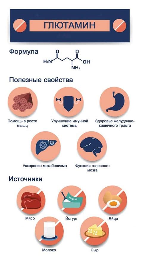 Роль глютамина в процессах восстановления и адаптации организма