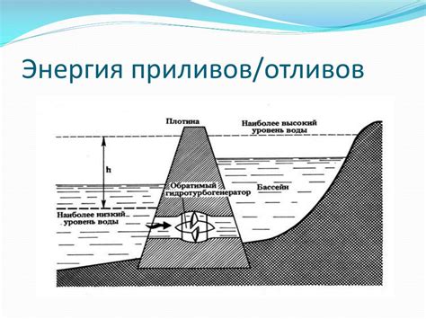 Роль гравитационных сил в происхождении приливов и отливов