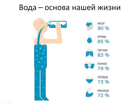 Роль достаточного потребления воды в нормализации функционирования органов