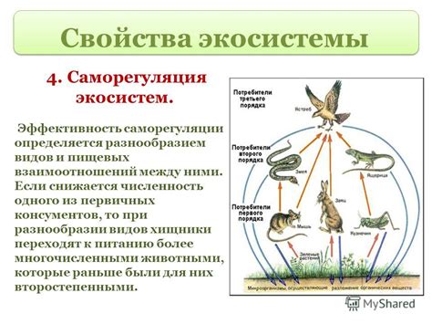 Роль зеленой мошки в экосистеме