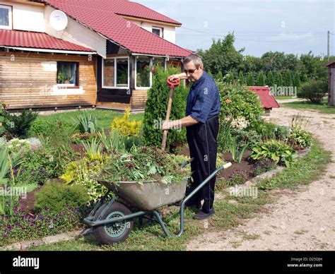 Роль земель для огородничества в современной жизни