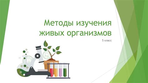 Роль изучения возбудимости организмов в современной науке