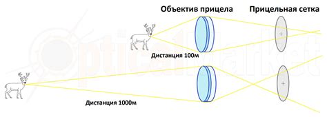 Роль и задачи рефлектора в оптическом аппарате для изучения мельчайших структур