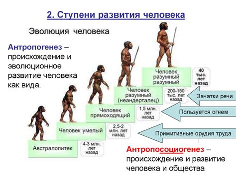 Роль и значимость человеческого общества в истории развития человечества