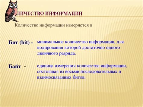 Роль и применение понимания количества битов в ноутбуке: значимость и практические сферы использования