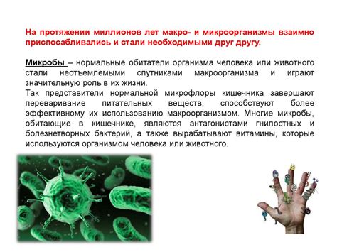 Роль микроорганизмов в жизненных процессах: маленькие гиганты невидимого мира