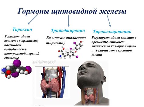 Роль нарушенной функции щитовидной железы в возникновении проблем с ногтями