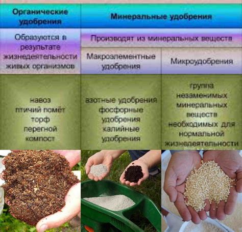 Роль органических удобрений в изменении кислотности почвы