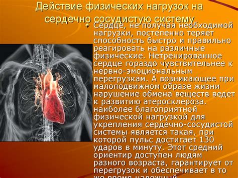 Роль освещения и влажности в сохранении здоровья цветка