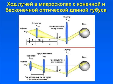 Роль отражающей поверхности в оптическом приборе для изучения мельчайших объектов