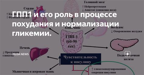 Роль питания в контроле гликемии