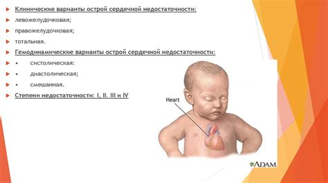 Роль специфической характеристики в изучении сердечной деятельности у детей