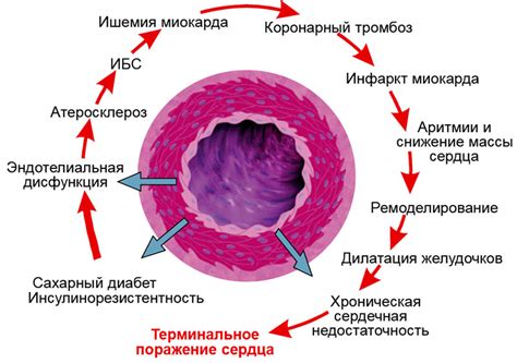 Роль хронического стресса в развитии гипергликемии