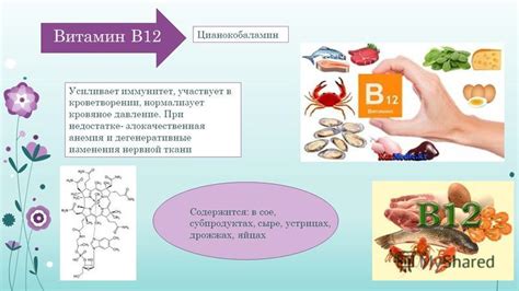 Роль цианокобаламина в организме человека