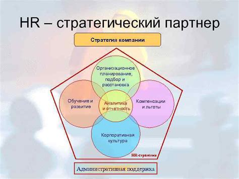 Роль HR-отдела в организации: основные задачи и функции