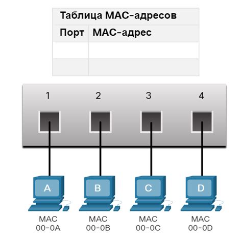 Роль MAC-адресов в идентификации устройств в сети