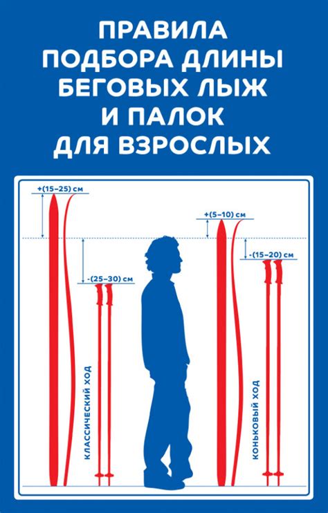 Руководство по изменению длины лыжных палок: самостоятельный способ наращивания или укорачивания