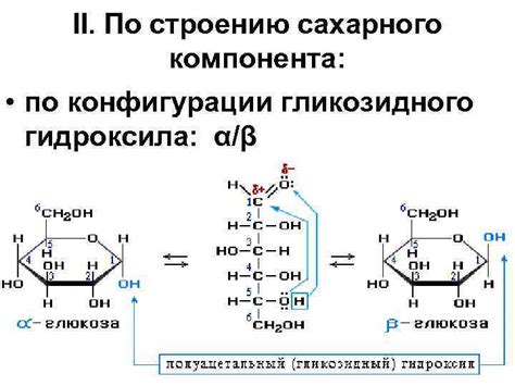 Свойства гликозида кукурбитацина