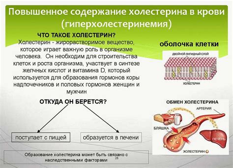 Связь между показателем атерогенности и содержанием холестерина в крови