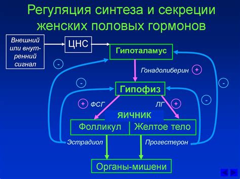 Связь между функцией половых гормонов и кровотечением в прямой кишке