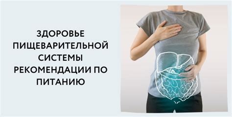 Секреты для улучшения функциональности пищеварительной системы