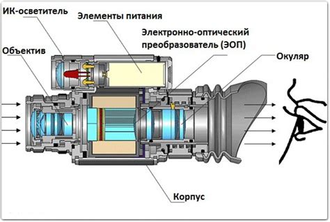 Секреты ночного видения: как работает глаз в условиях низкой освещенности