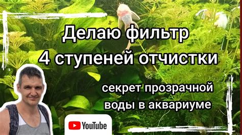 Секрет приготовления прозрачной и ясной жидкости