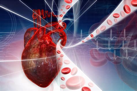 Сердечно-сосудистые заболевания и другие проблемы, связанные с глицеридами