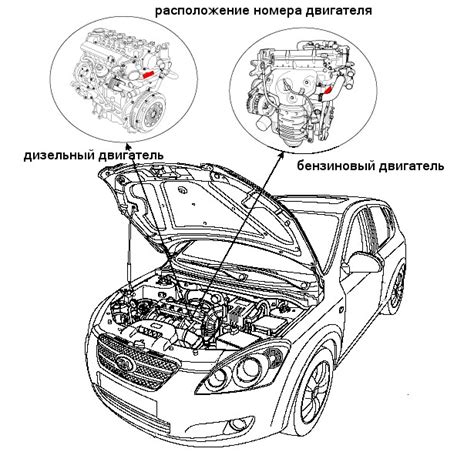 Символичность зимнего элемента в автомобилях Kia