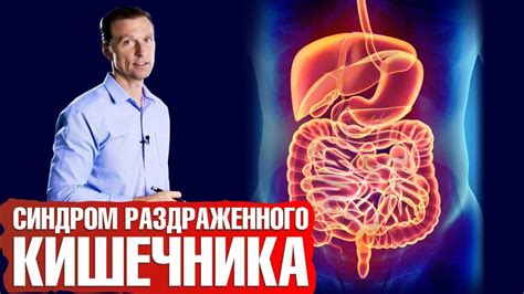 Синдром раздраженного кишечника: основной противник идеальной фигуры