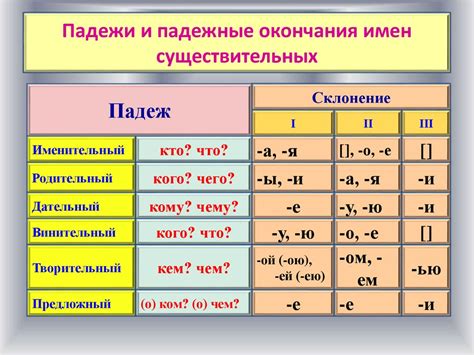 Склонение имен существительных по падежам: изучаем вариации и изменения словоформ