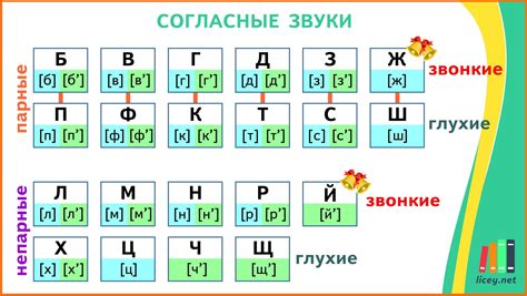 Случаи, требующие внимания: твёрдые и мягкие согласные в русском языке