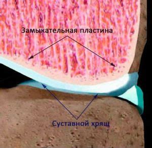 Смазывание и питание суставных поверхностей