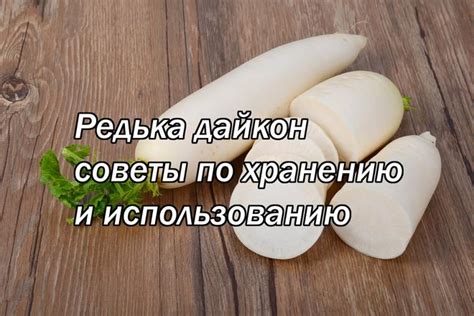 Советы по использованию и хранению домашнего костного продукта: эффективные методы и рекомендации