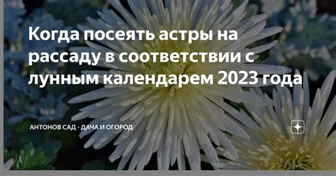 Советы по планированию дел в соответствии с лунным календарем 23 сентября