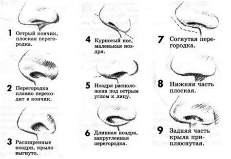 Создание образца фигуры для носа Буратино