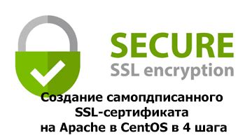 Создание SSL-сертификата