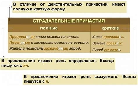 Созерцание пассивного действия: страдательные причастия и их роль в тексте