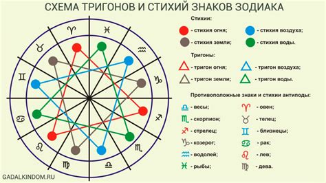 Сокровенные смыслы и символы, которые несет в себе виноград в сновидениях