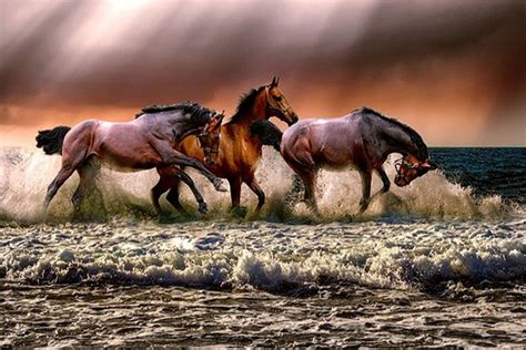 Сон с грезой о лошадях в воде: предвестник удачи или поражения?