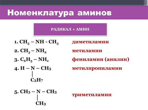 Состав и устройство молекул, относящихся к классу аминов