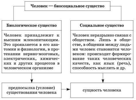 Социальная природа человека: ценности и взаимодействие