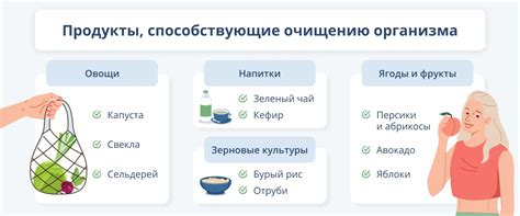 Способы поддержки процесса очищения организма от излишков и ускорения метаболизма