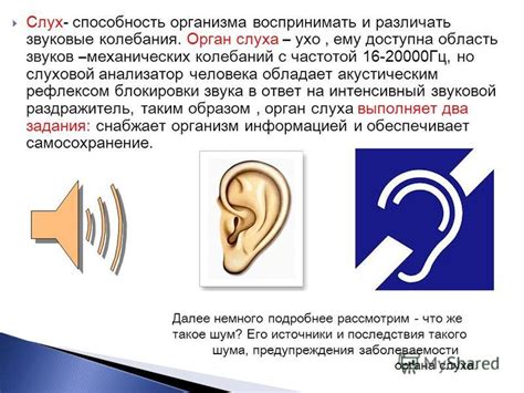 Способы улучшения восприятия звуков в органах слуха и мозге