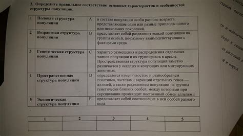 Сравнение характеристик и особенностей инструментов для правильного выбора