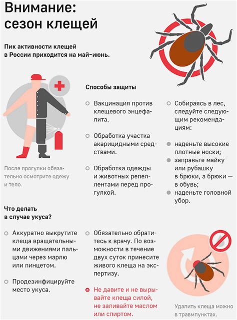 Стандартные меры профилактики и ухода после удаления клеща