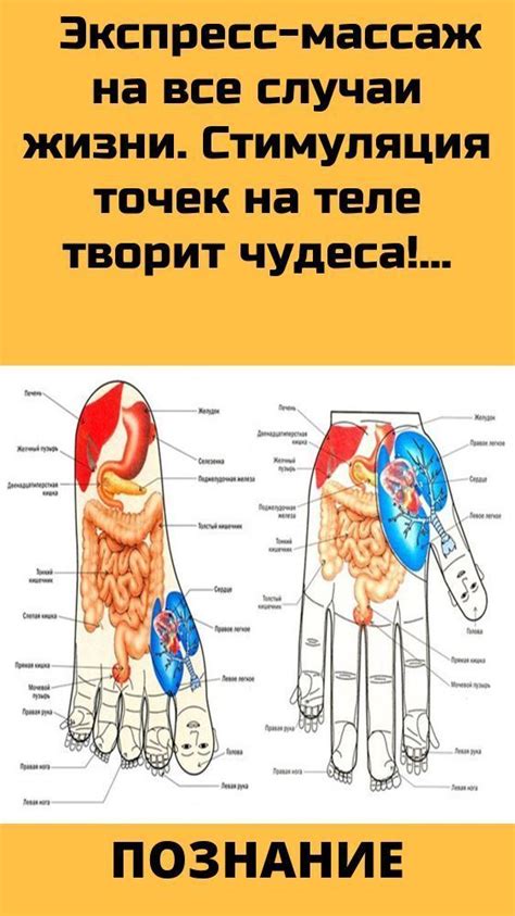 Стимуляция активных точек на теле: механизмы и эффекты