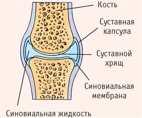 Строение и основные компоненты косынки