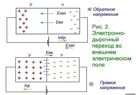 Структура и внутренние процессы светила